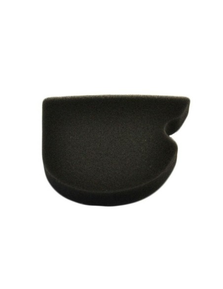Filtro de Aire Athena Kawasaki KLX 110 02-21