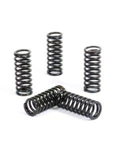 Kit Muelles de Embrague Prox Beta RR 250/300 2T RR 350/400/450 4T 13-17
